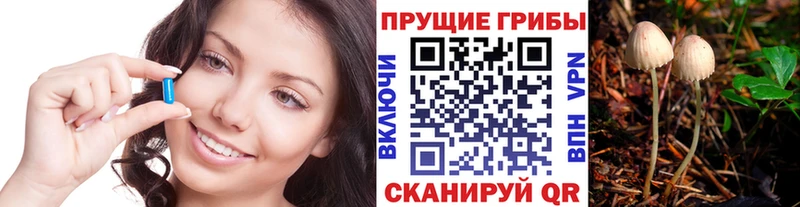 Галлюциногенные грибы ЛСД  OMG ССЫЛКА  Ливны 