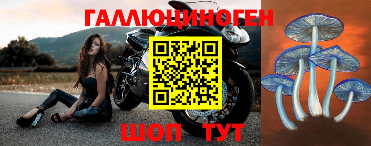 Ливны  Псилоцибиновые грибы мухоморы  Вход с VPN 